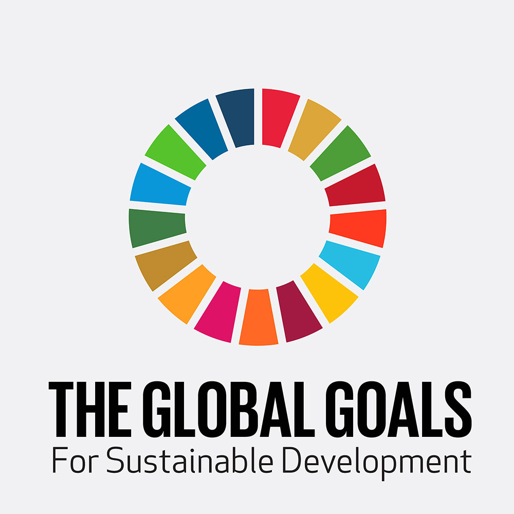 Project Everyone - Global Goals