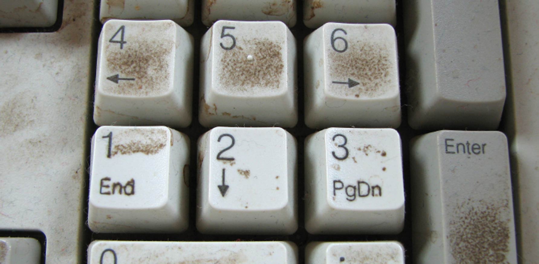 bakterier i PC-tastaturet