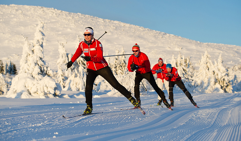 Nordmenn går på ski