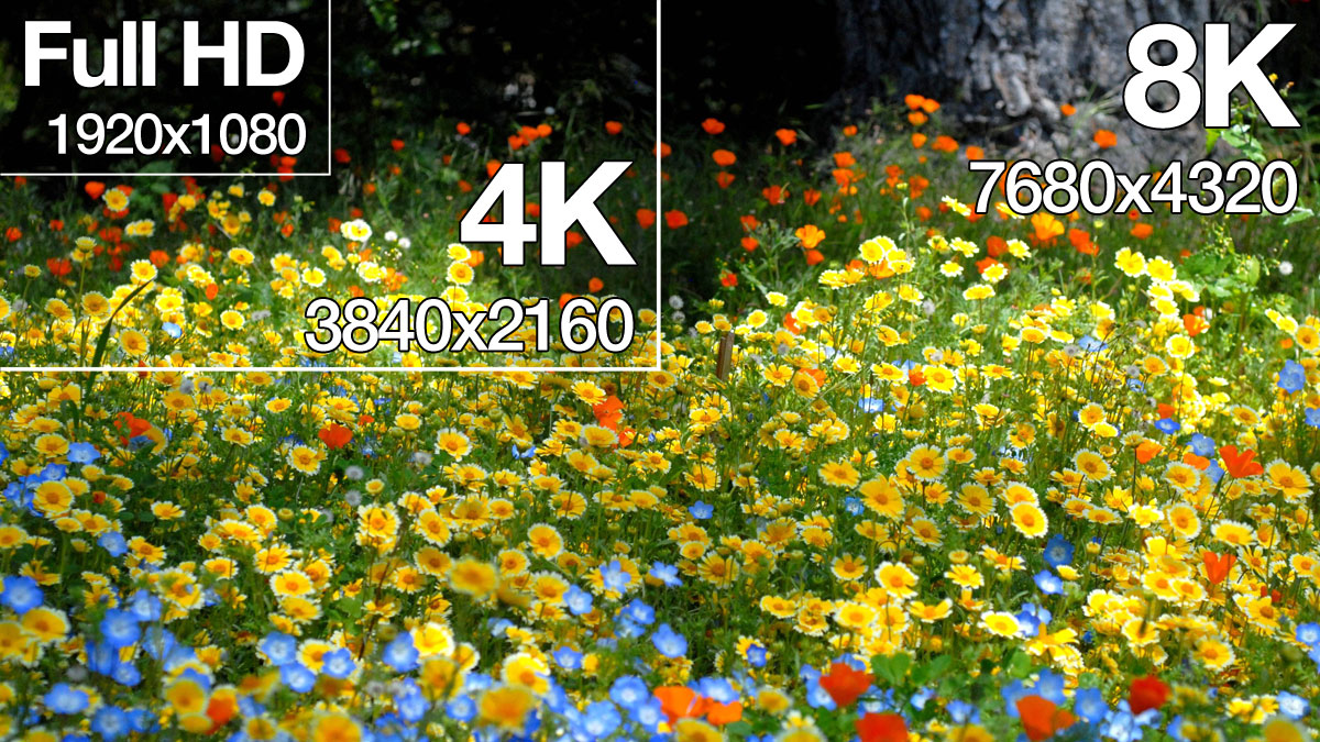 8K vs 4K vs Full HD