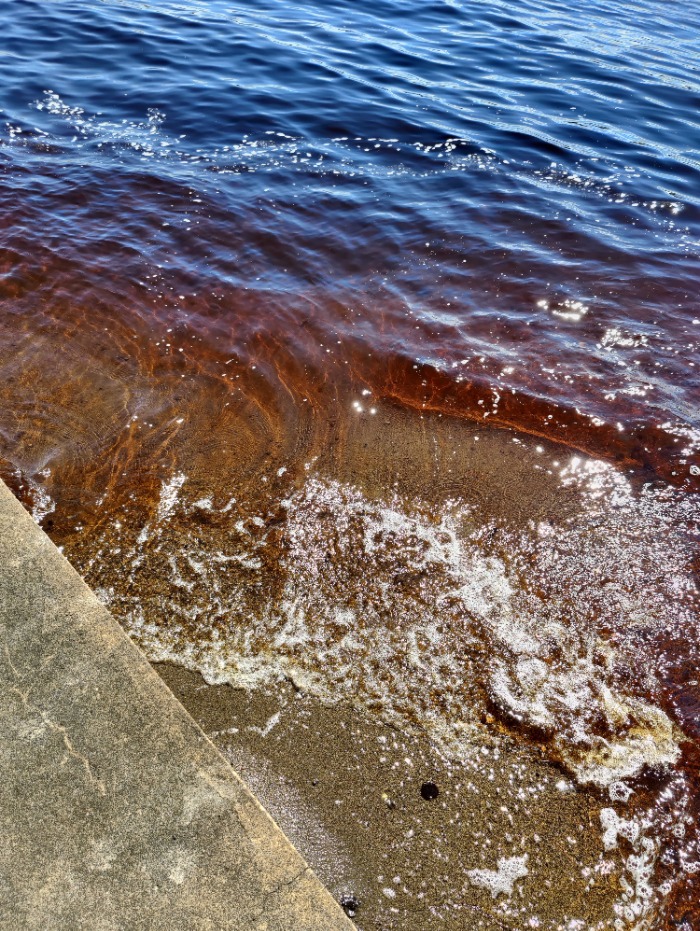 Bilde som viser vann i strandkanten ved en molo