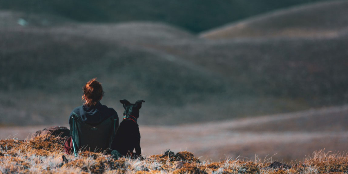 Bilde som viser rødhåret kvinne bakfra, sittende i fjellheimen med sin sorte Border collie ved sin side