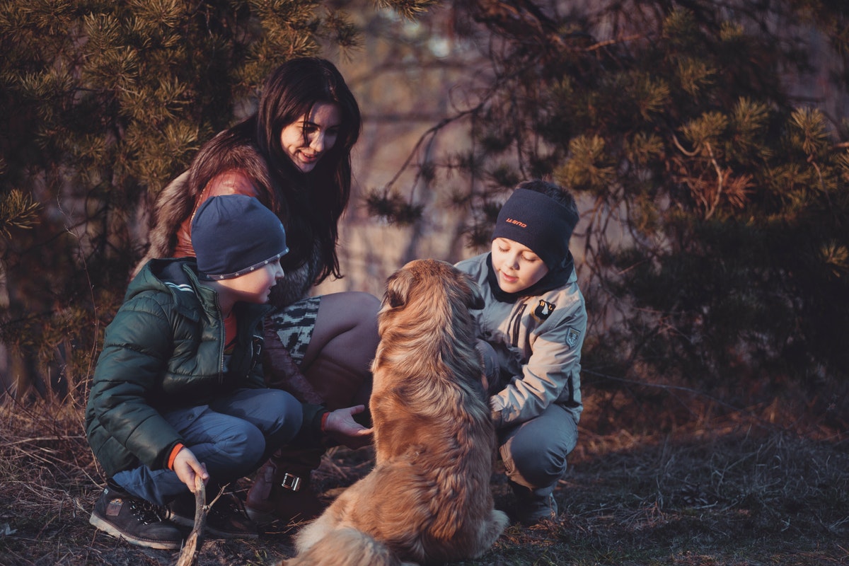 Bilde av mor og to sønner i skogen med hund