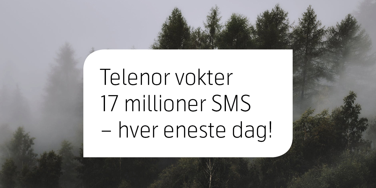 Telenor vokter 17 millioner SMS - hver eneste dag!
