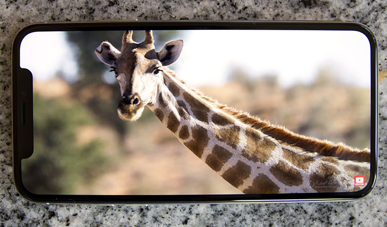 iPhone X-skjermen med bilde av giraff